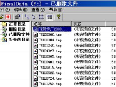 硬盘数据恢复软件 FinalData