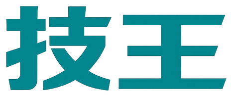 技王数据恢复