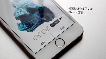 神技能！iPhone 6s 如何自制 Live Photo 动态锁屏？