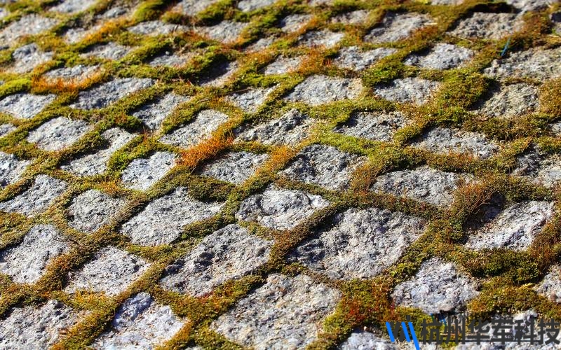 硬盘无法识别的原因及解决方案详解与分析