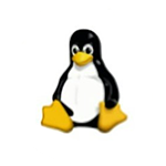 Linux OS Recovery