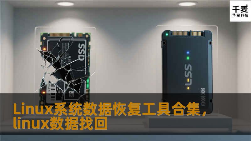 本文将为您介绍几款常见的Linux系统数据恢复工具，这些工具不仅功能强大，而且易于使用，能够帮助您在遇到数据丢失或系统故障时，快速恢复丢失的文件，保障您的数据安全。