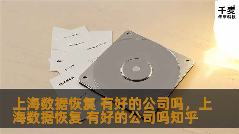 本文为您详细解析上海数据恢复服务的选择指南，帮助您找到高效、可靠的数据恢复公司。无论是硬盘损坏、误删文件还是其他数据丢失情况，找到一个值得信赖的服务商尤为关键。本文将从多方面为您提供建议，助您轻松应对数据恢复难题。