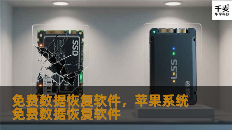丢失的数据还原成为了可能！在本文中，我们将详细介绍如何使用免费数据恢复软件快速、安全地找回误删文件，无论是照片、视频还是重要文档，都能轻松恢复。