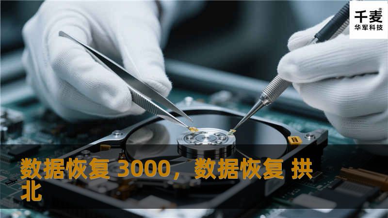 随着数字时代的快速发展，数据在我们生活和工作中的地位越来越重要。一旦数据丢失，可能带来的损失难以估量。本文将详细介绍一款名为“数据恢复3000”的高效数据恢复工具，如何帮助用户轻松找回宝贵数据。
