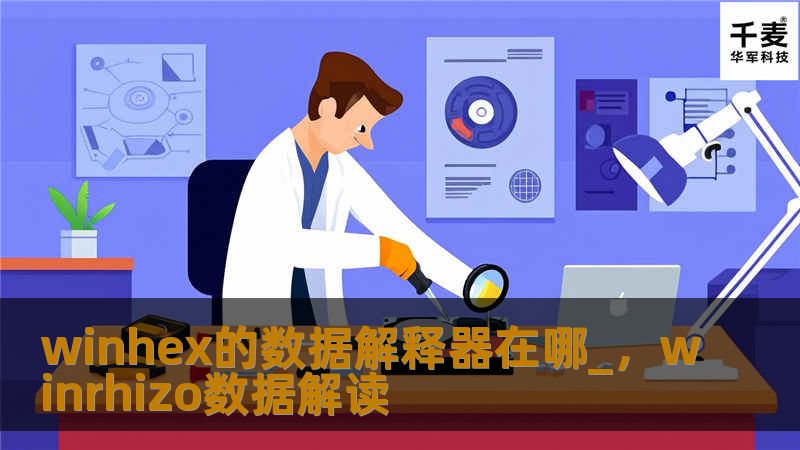 winhex的数据解释器在哪_，winrhizo数据解读