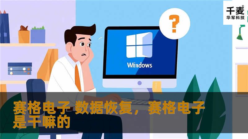 赛格电子 数据恢复，赛格电子是干嘛的