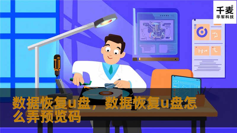 数据恢复u盘，数据恢复u盘怎么弄预览码