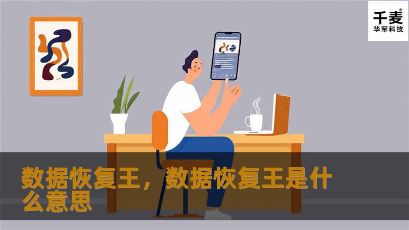 数据恢复王，数据恢复王是什么意思