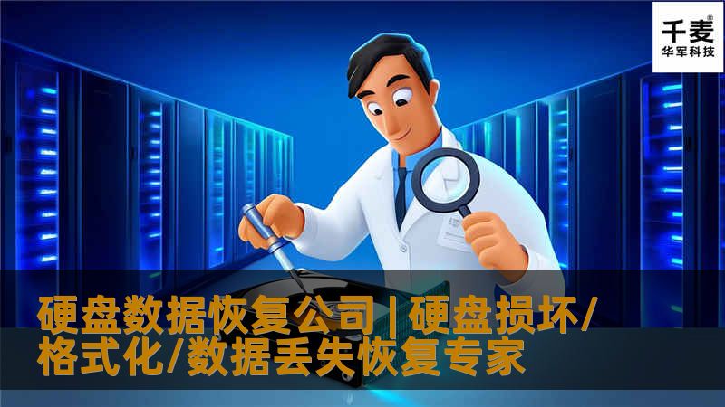 硬盘数据恢复公司 | 硬盘损坏/格式化/数据丢失恢复专家