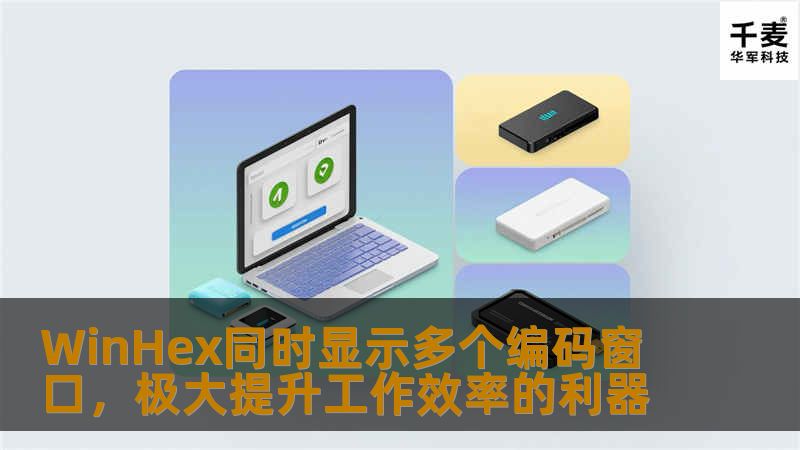 WinHex同时显示多个编码窗口，极大提升工作效率的利器