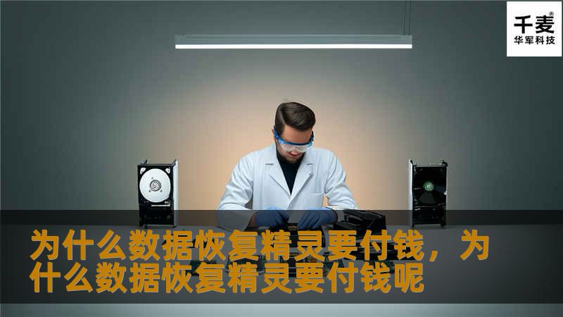 数据恢复精灵作为一种高效的数据恢复工具，在数据丢失的情况下为用户提供了快速且可靠的解决方案。然而，为什么使用这款工具需要付费？本文将详细解析这一问题，并为您揭示为何这项付费服务值得投资。