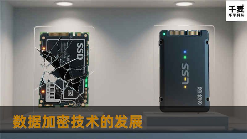 数据安全性在未来几年会有一个快速发展的过程。IT近二十年高速发展使得数据的重要性越来越得以接受，并通过各类技术实现数据的高速访问和不间断运行，这点可以从市场上已有的