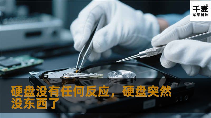 硬盘没有任何反应，硬盘突然没东西了