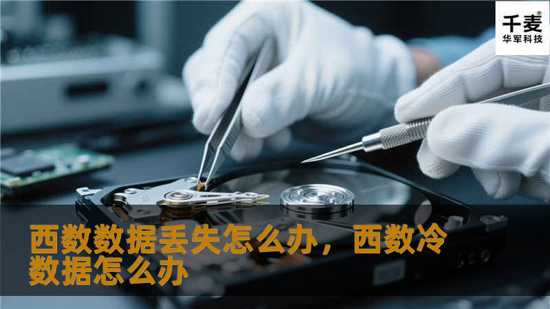 西数数据丢失怎么办，西数冷数据怎么办