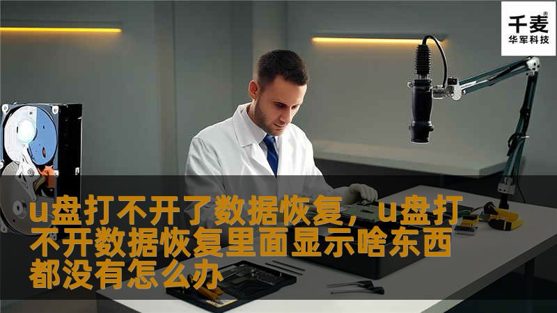 u盘打不开了数据恢复，u盘打不开数据恢复里面显示啥东西都没有怎么办