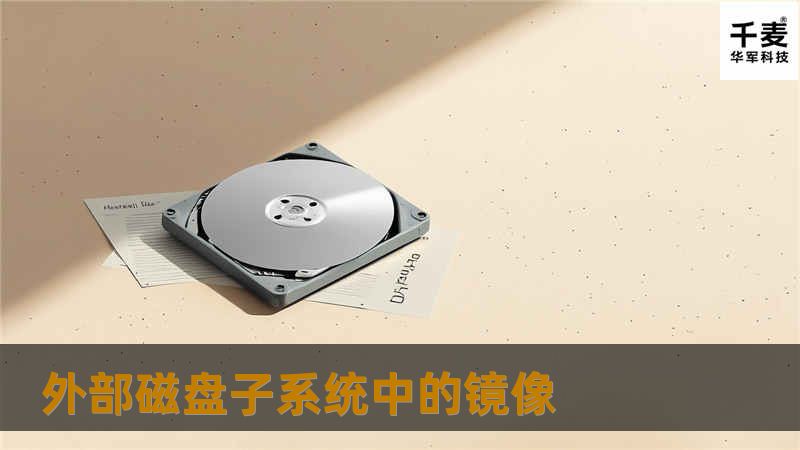 1.外部磁盘镜像的性能和管理 在有充分处理能力的前提下，外部磁盘子系统的镜像可以达到很高的性能。不仅其处理器是存储管理任务所专用的，子系统也是为某些特殊的成分而设计和