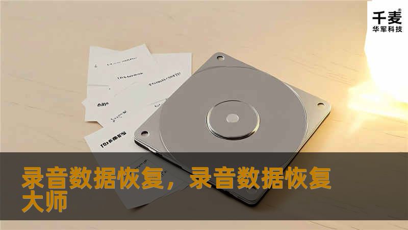 录音数据恢复，录音数据恢复大师