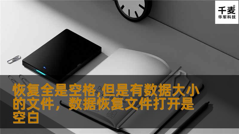 恢复全是空格,但是有数据大小的文件，数据恢复文件打开是空白