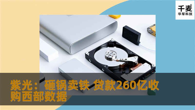 向银行等金融机构或投资机构申请不超过260亿人民币或等值美元贷款，并由股东紫光集团有限公司为贷款提供担保。