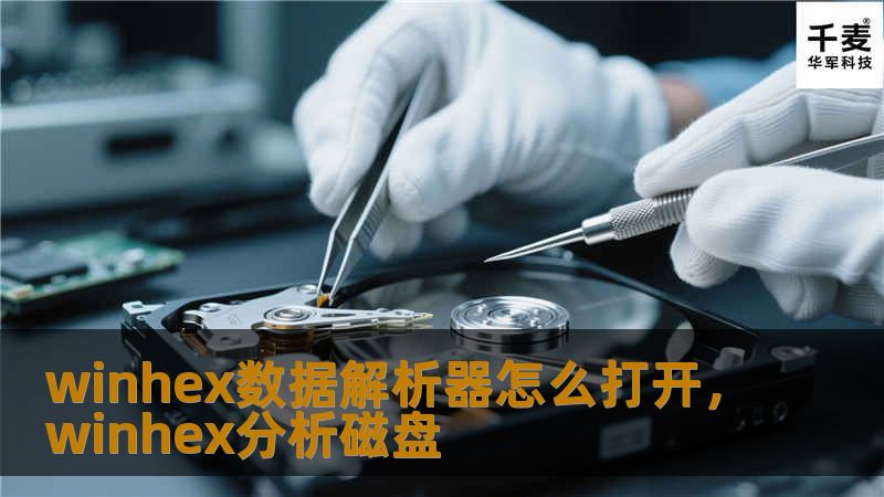 winhex数据解析器怎么打开，winhex分析磁盘