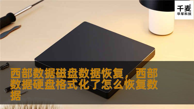 西部数据磁盘数据恢复，西部数据硬盘格式化了怎么恢复数据