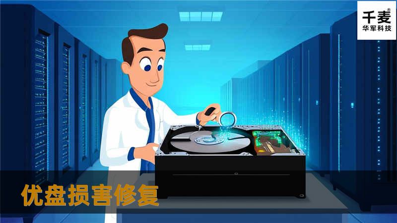 优盘损害修复指南，详细介绍各种优盘故障的修复方法，数据恢复技巧，以及真实案例分析，帮助用户有效解决优盘数据丢失问题。