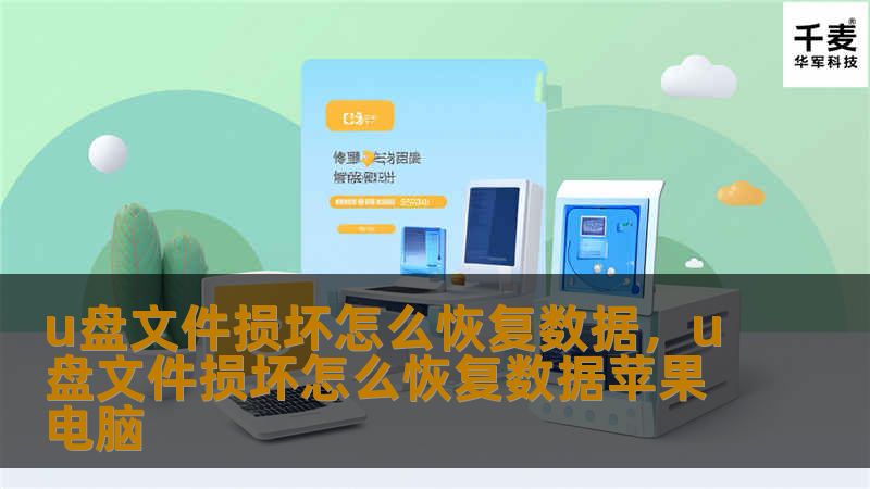 u盘文件损坏怎么恢复数据，u盘文件损坏怎么恢复数据苹果电脑