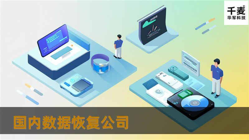 国内数据恢复公司