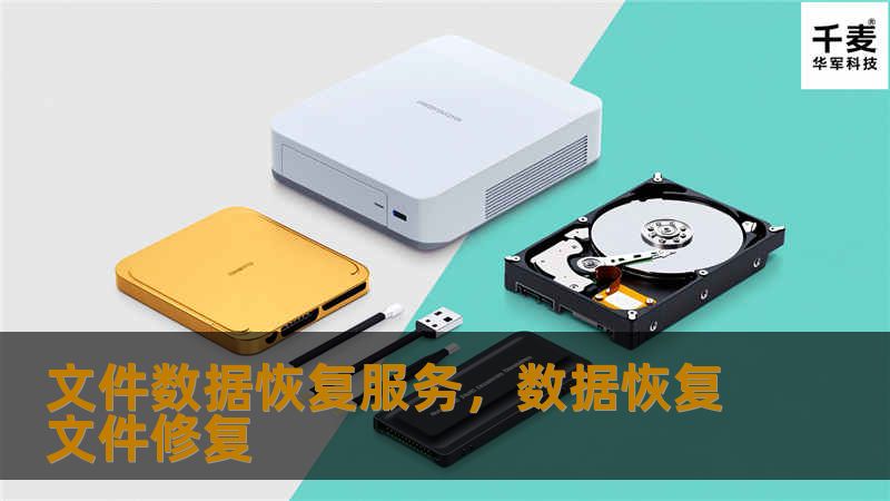 文件数据恢复服务，帮助用户恢复因误删、硬盘故障、病毒攻击等原因丢失的重要文件，助您化解数据丢失带来的烦恼。无论是个人文件、企业数据，还是珍贵的照片、视频，专业的数据恢复服务都能为您提供可靠的解决方案。