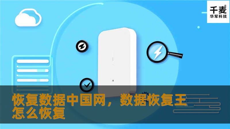 恢复数据中国网，数据恢复王怎么恢复