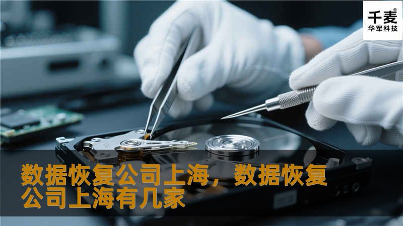 数据恢复公司上海        文章大纲        H1: 数据恢复公司上海的市场概况    H2: 什么是数据恢复服务？    H3: 数据丢失的常见原因    H4: 硬盘损坏    H4: 操作系统崩溃    H4: 意外删除    H3: 数据恢复的基本原理    H2: 上海的数据恢复公司选择指南    H3: 上海数据恢复公司概览    H4: 公司规模与技术实力    H4: 服...