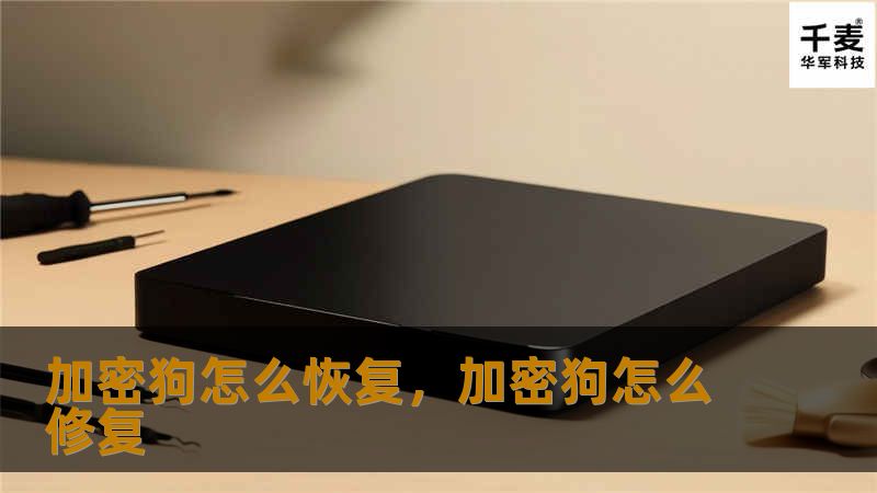 加密狗怎么恢复，加密狗怎么修复