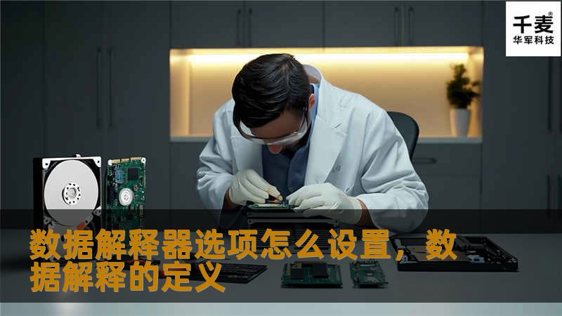 数据解释器选项怎么设置，数据解释的定义