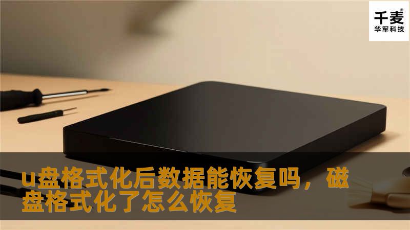 U盘格式化后数据还能恢复吗？本文将为您深入解析U盘格式化数据恢复的可能性和方法，帮助您在不慎丢失数据后找到有效的解决方案。