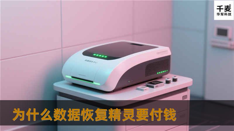 深入探讨为什么数据恢复精灵需要付费，提供专业的数据恢复解决方案和教程，帮助用户理解付费的必要性。