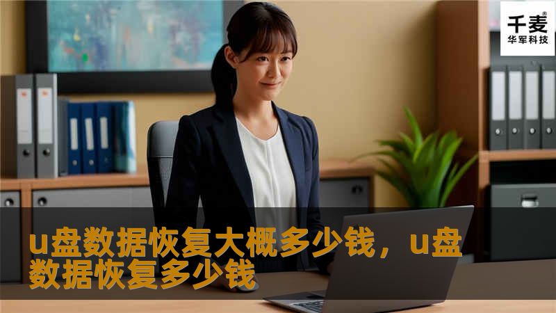 u盘数据恢复大概多少钱，u盘数据恢复多少钱