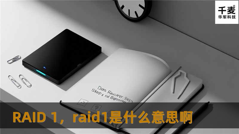 RAID 1，raid1是什么意思啊