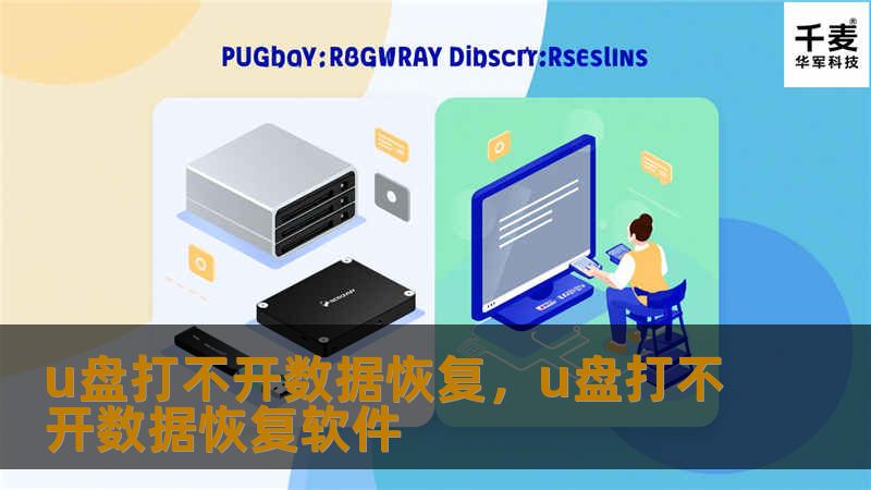 u盘打不开数据恢复，u盘打不开数据恢复软件