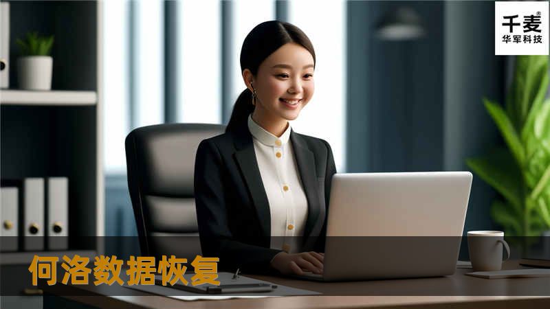 何洛数据恢复