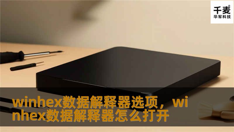 winhex数据解释器选项，winhex数据解释器怎么打开
