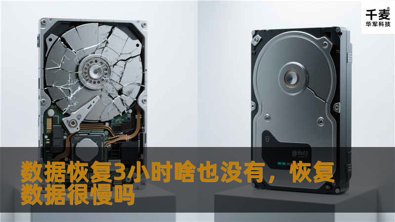 数据丢失对个人和企业而言都可能是灾难性的事件，而数据恢复过程的困难与挑战常常被忽视。本文通过“数据恢复3小时啥也没有”这一典型案例，揭示了数据恢复的复杂性以及影响恢复效果的关键因素。