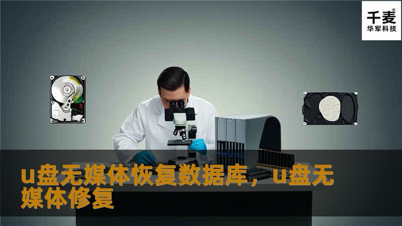 了解如何利用U盘无媒体恢复数据库，安全高效地恢复丢失或删除的数据，助你重新找回珍贵信息。