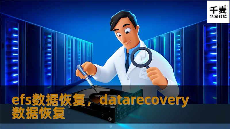 efs数据恢复，datarecovery数据恢复