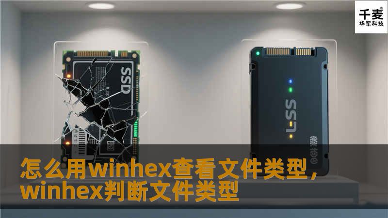 怎么用winhex查看文件类型，winhex判断文件类型