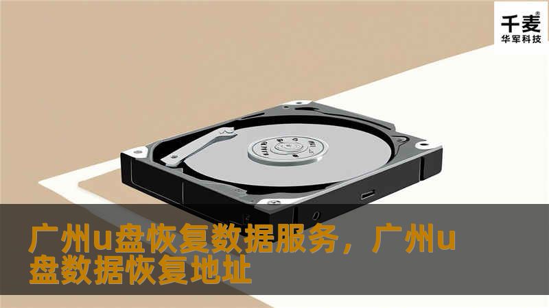 广州u盘恢复数据服务，广州u盘数据恢复地址