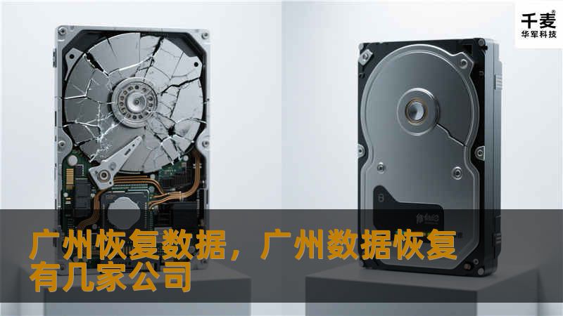 广州数据恢复服务专业解决硬盘损坏、文件丢失等问题，无论您遇到的是硬件故障还是误删数据，广州本地的专业团队都能帮您恢复数据，保障信息安全。
