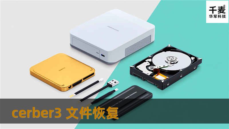 本文详细介绍了Cerber3文件恢复的方法和技巧，包括操作步骤、真实案例分析以及用户常见问题，帮助用户有效恢复丢失数据。