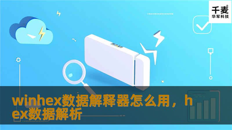 winhex数据解释器怎么用，hex数据解析