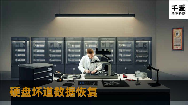 工程师先用专用坏道检测工具对硬盘的检测，发现大量物理坏道。经客户同意数据恢复处理后，用专业硬盘数据恢复工具对客户硬盘做数据扇区分析，